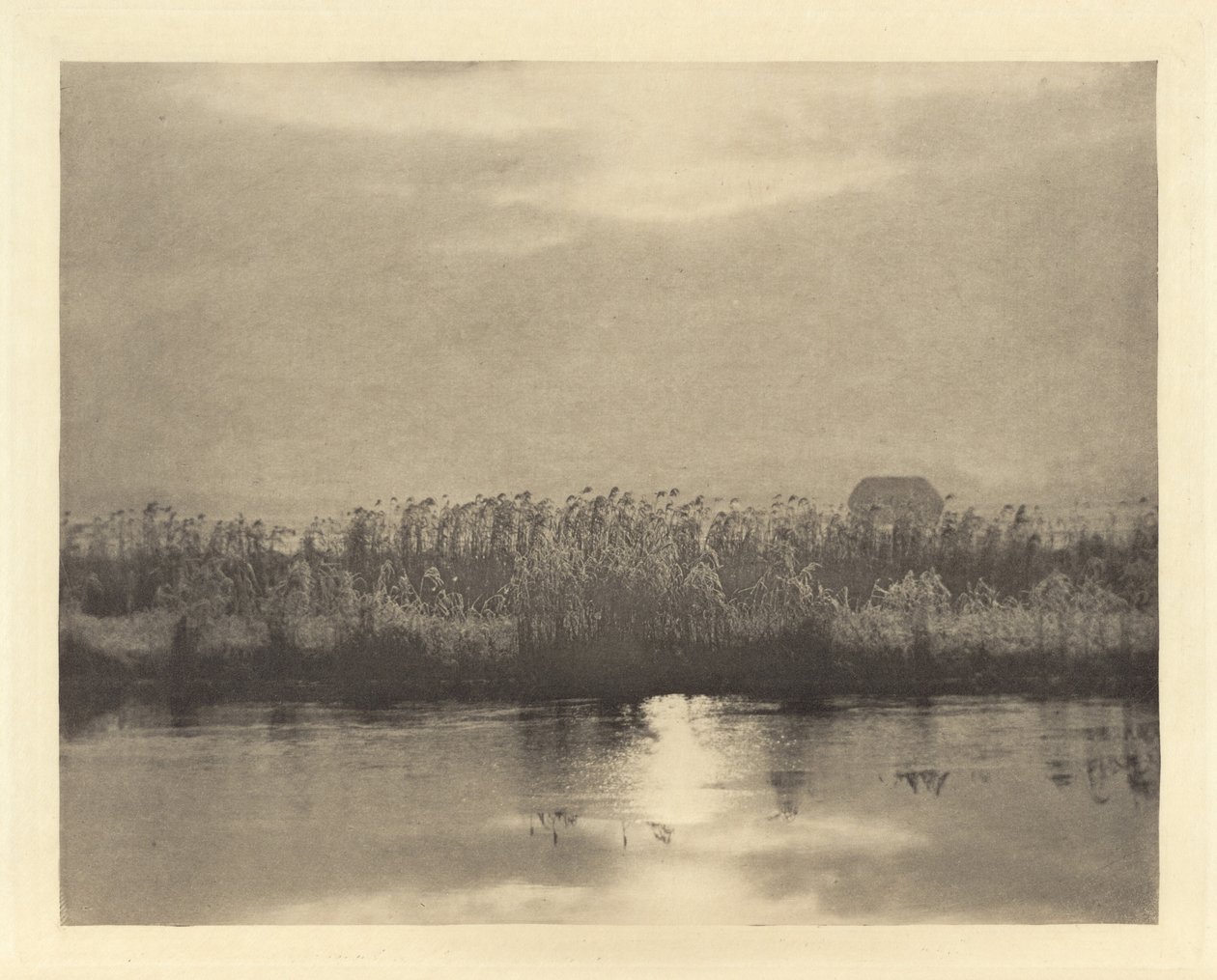 Cristaux de Rime, en ou avant 1895 (photo) - Peter Henry Emerson