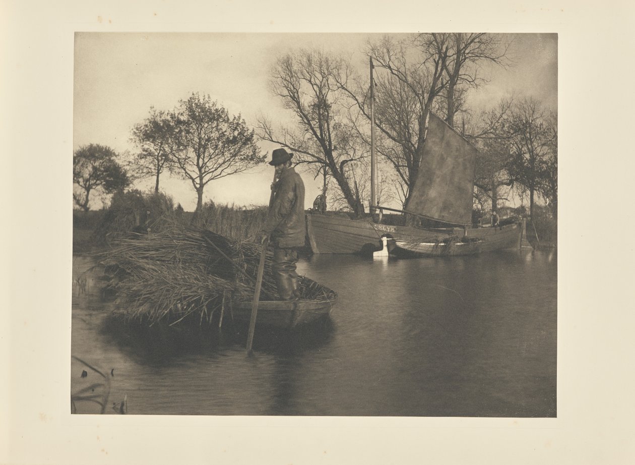 Le retour du coupeur de gladdon - Peter Henry Emerson