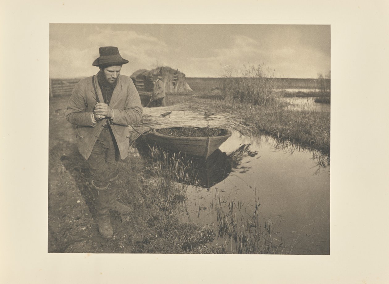 Remorquage des roseaux - Peter Henry Emerson