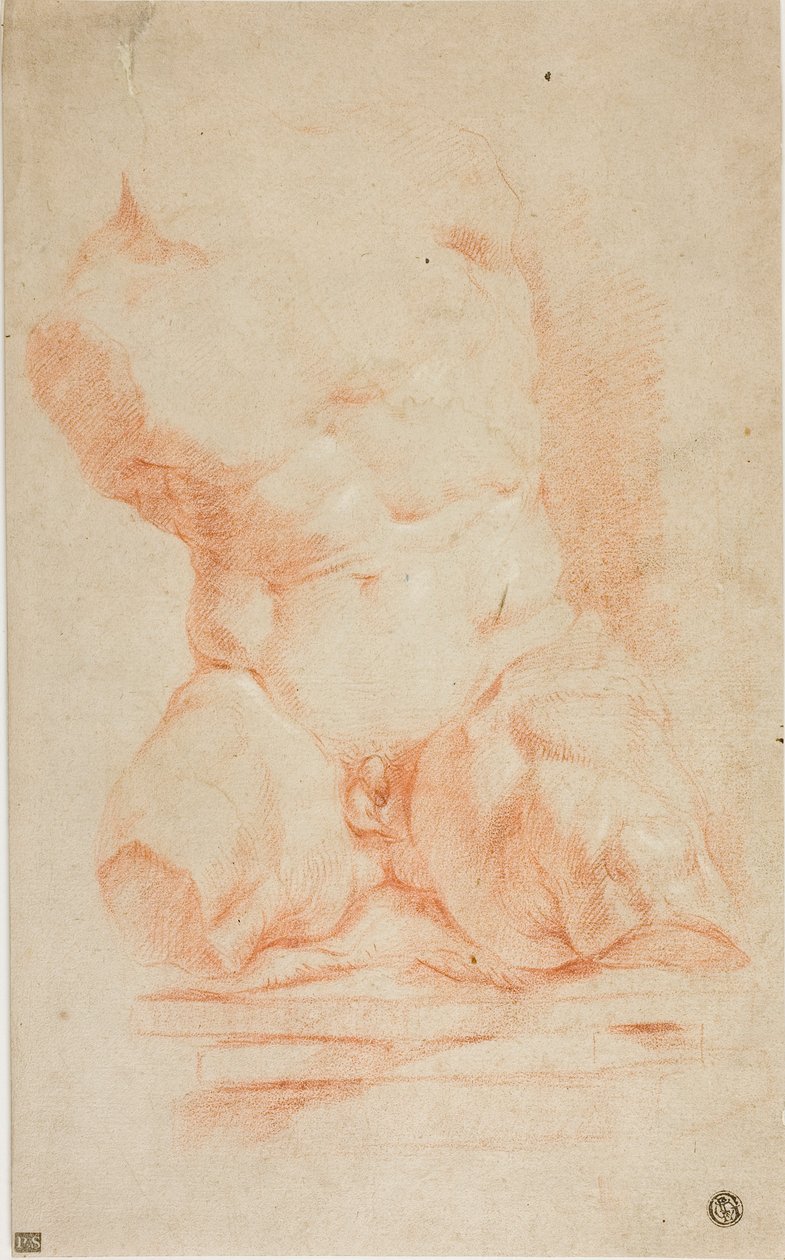 Torse du Belvédère - Peter Paul Rubens