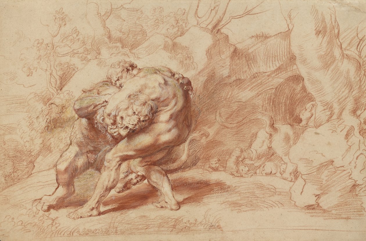 Hercule étranglant le lion de Némée, vers 1620 (craie rouge, jaune et noire, pinceau, encre rouge et gouache sur papier) - Peter Paul Rubens