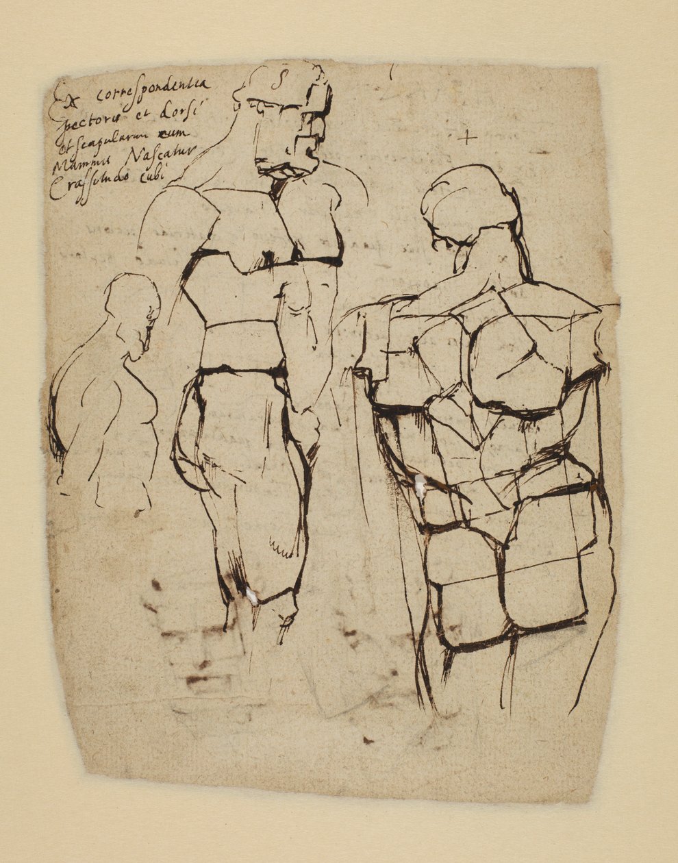 Étude du Farnèse Hercule - Peter Paul Rubens