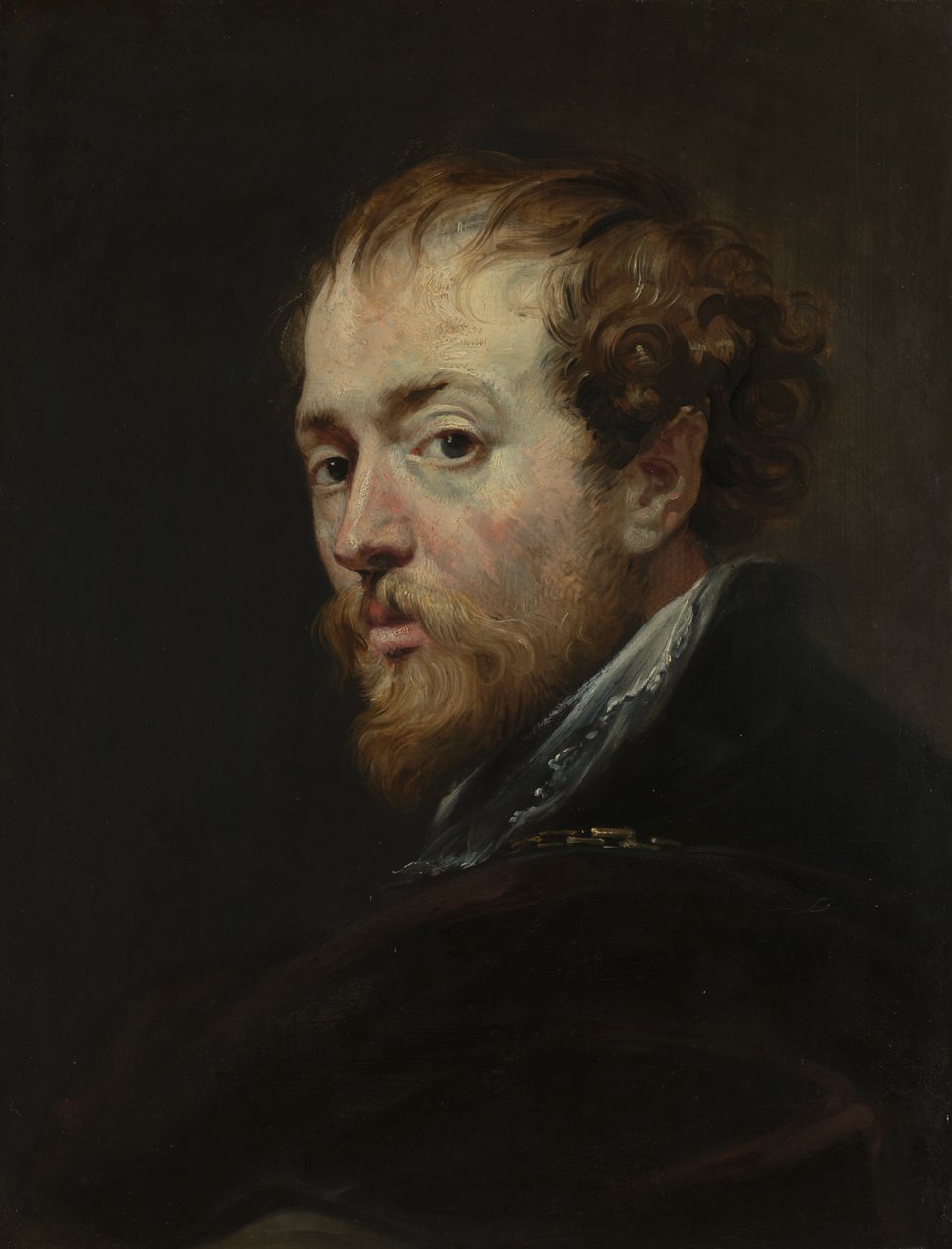 Le peintre Pierre Paul Rubens - Peter Paul Rubens