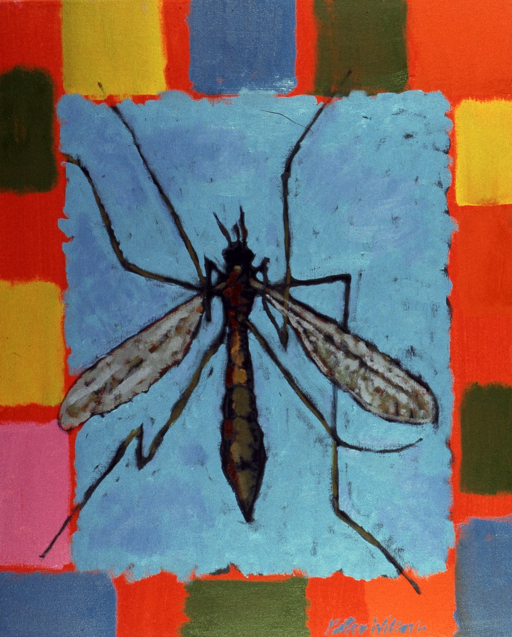 Mouche - Peter Wilson