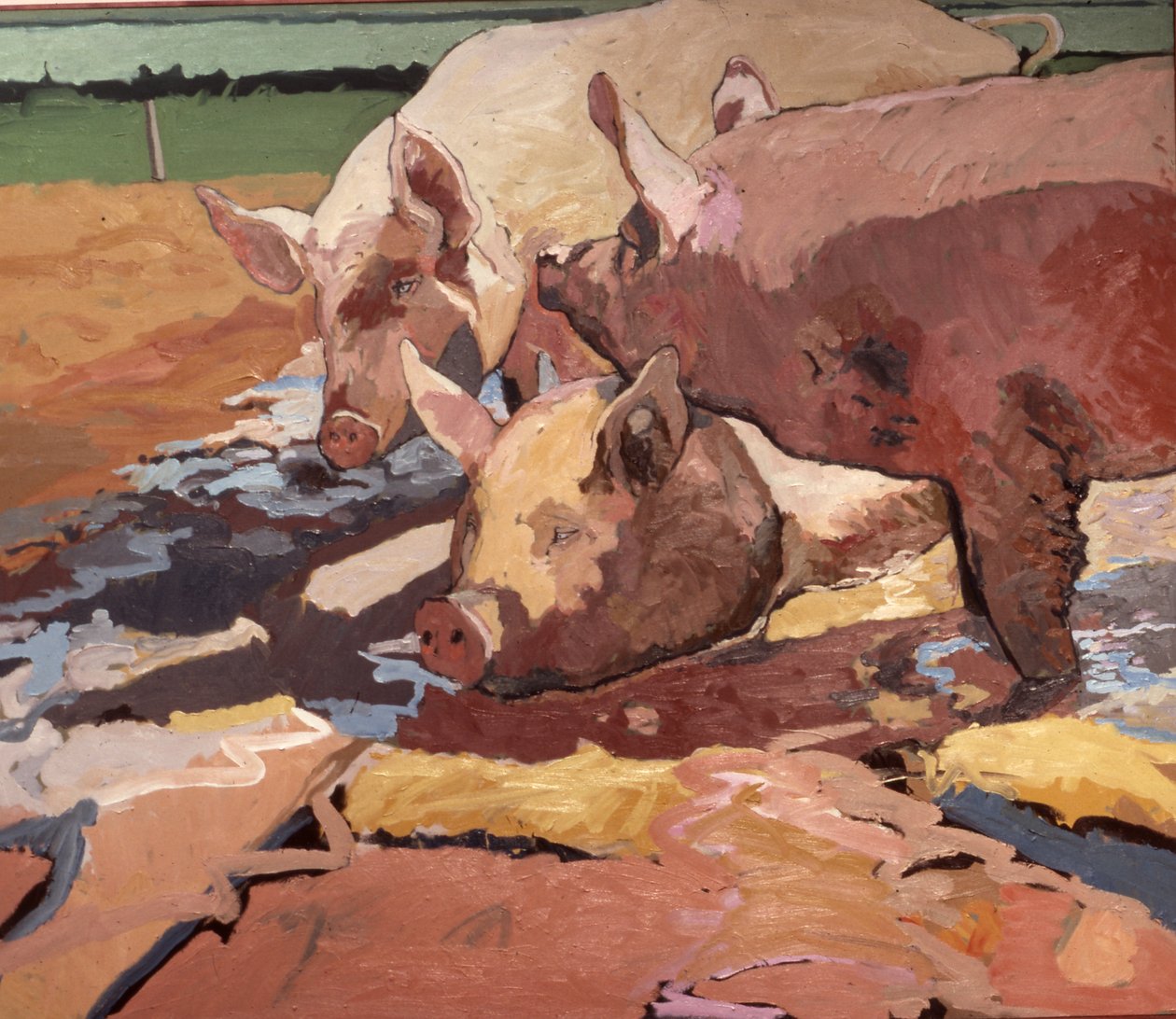 Des cochons au soleil et dans la boue - Peter Wilson