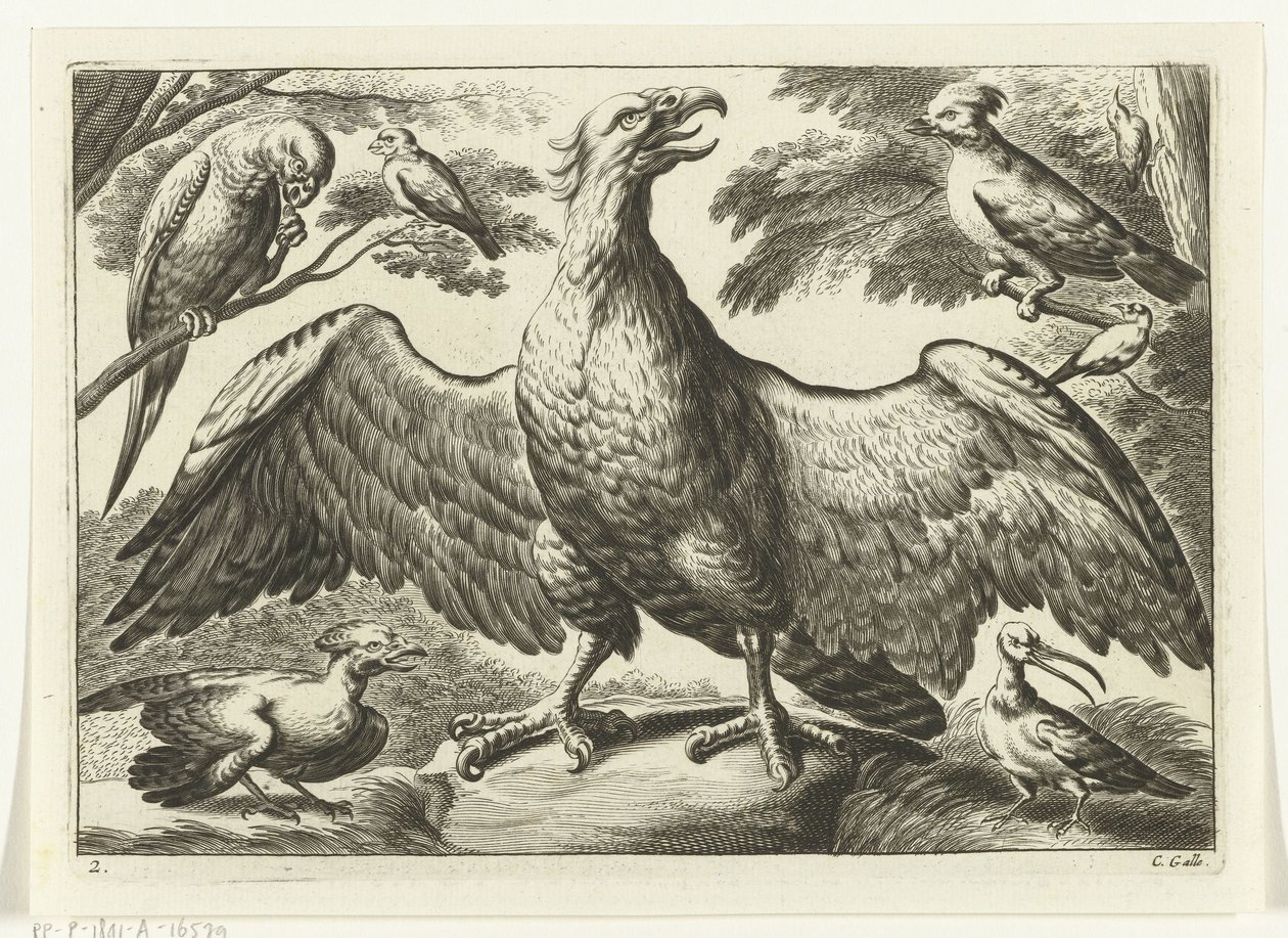 Aigle - Peter van Liesebetten