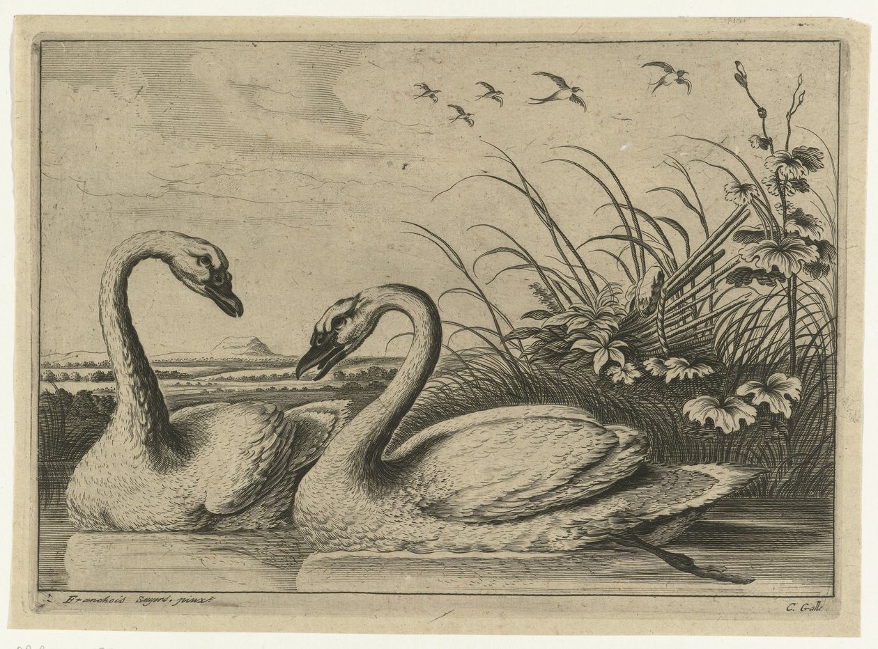Deux cygnes - Peter van Liesebetten