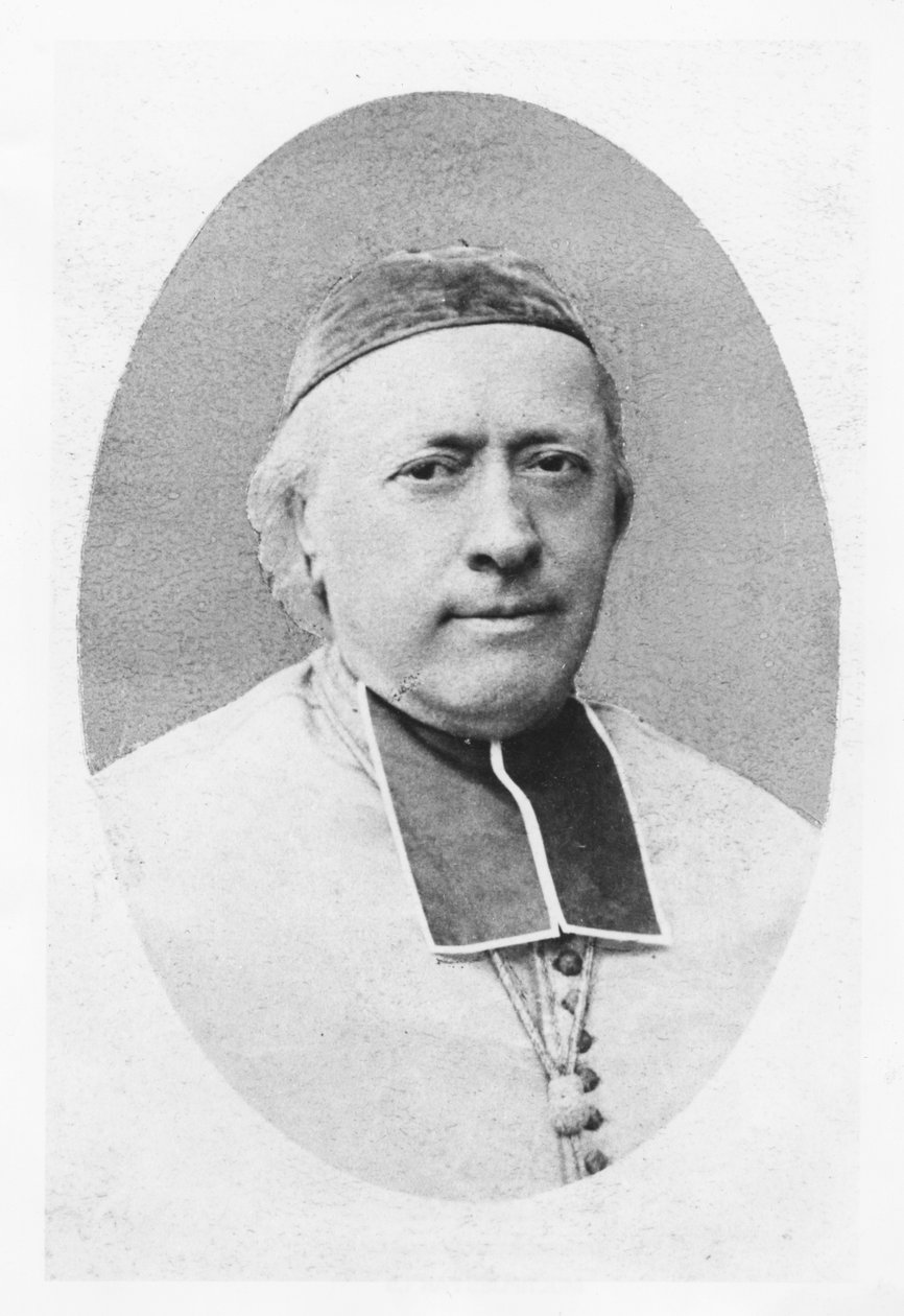 Portrait de Charles-Émile Freppel - Petit