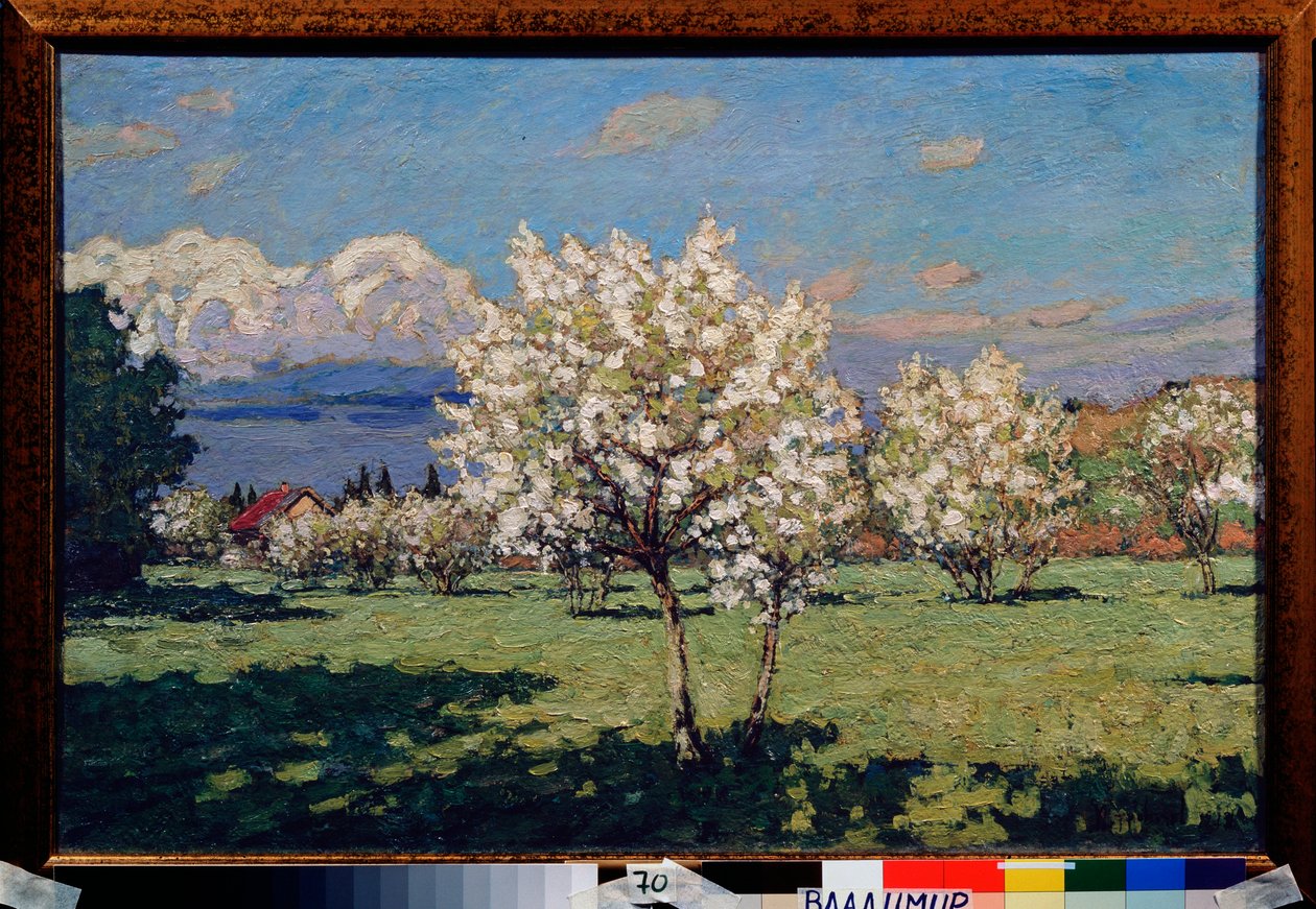 Les cerisiers en fleurs. Peinture de Pyotr Ivanovich Petrovichev (Piotr Petrovitchev) (1874-1947), huile sur toile - Petr Ivanovic Petrovichev