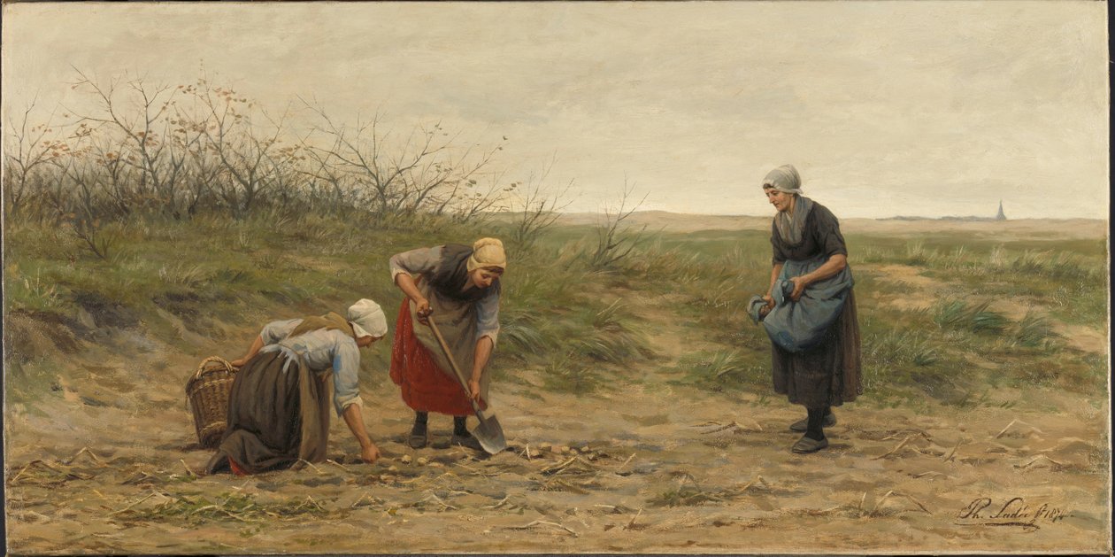 Femmes de Scheveningen vérifiant un champ de pommes de terre récolté - Philip Sadée