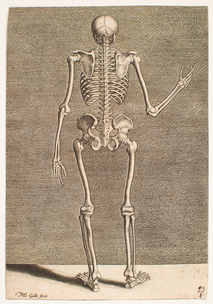 Étude d