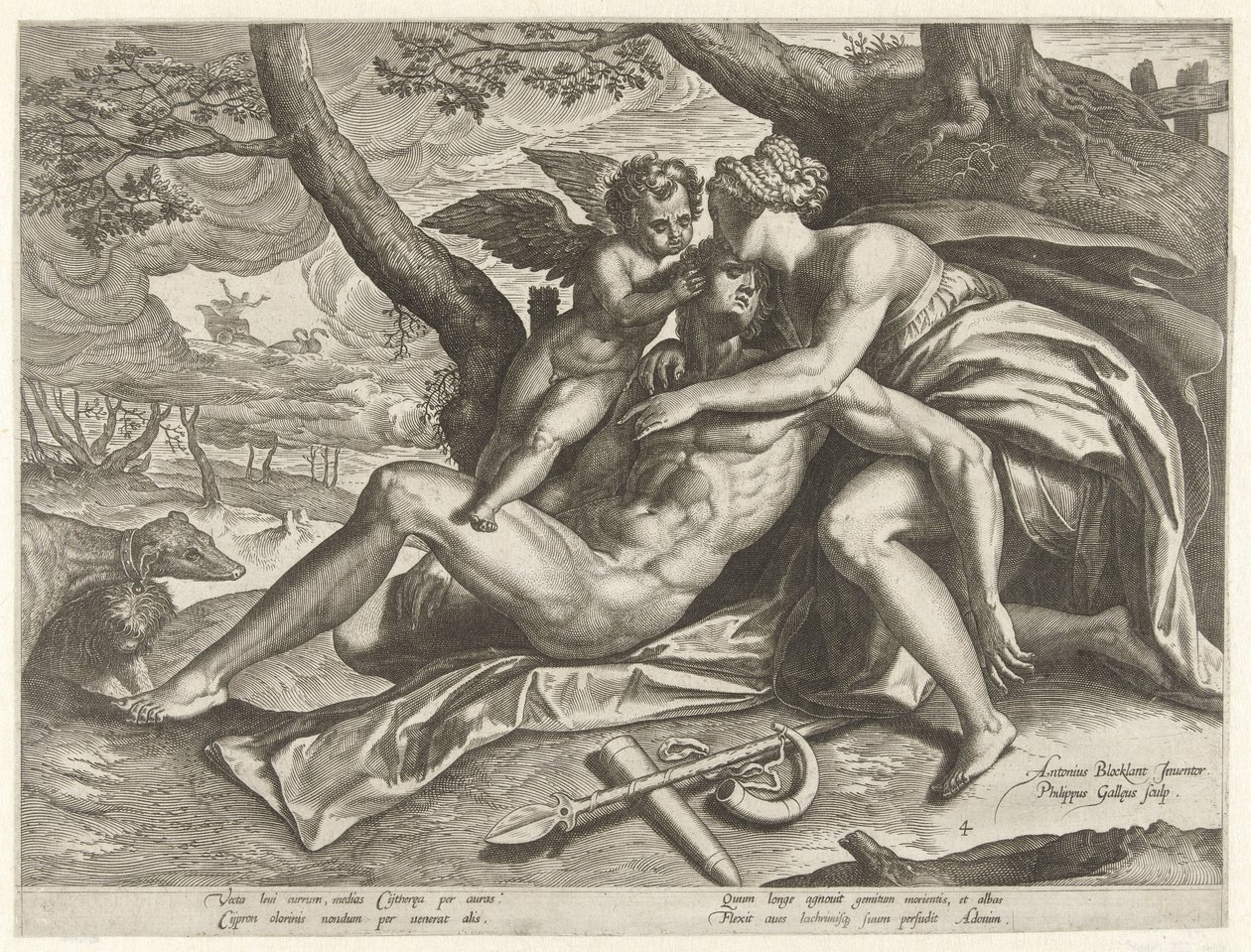 Vénus pleure la mort d