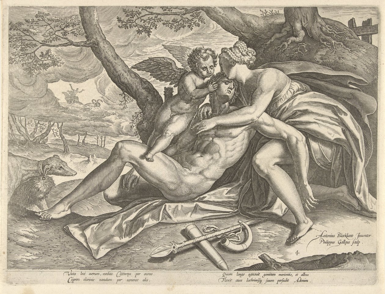 Vénus pleure la mort d