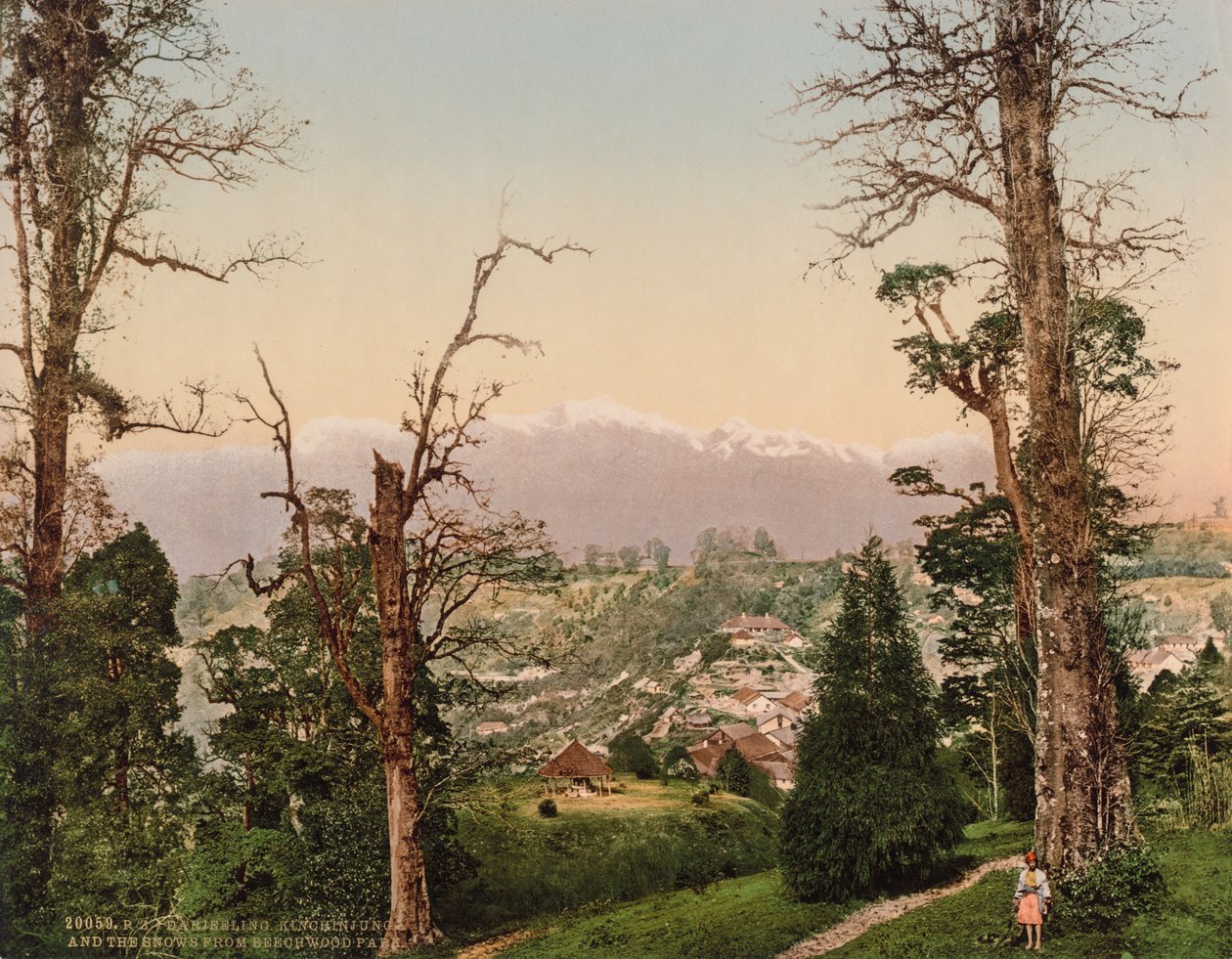 Darjeeling. Kinchinjunga et les neiges de Beechwood Park - Photoglob Co. (Zurich, active c. 1890 1910)