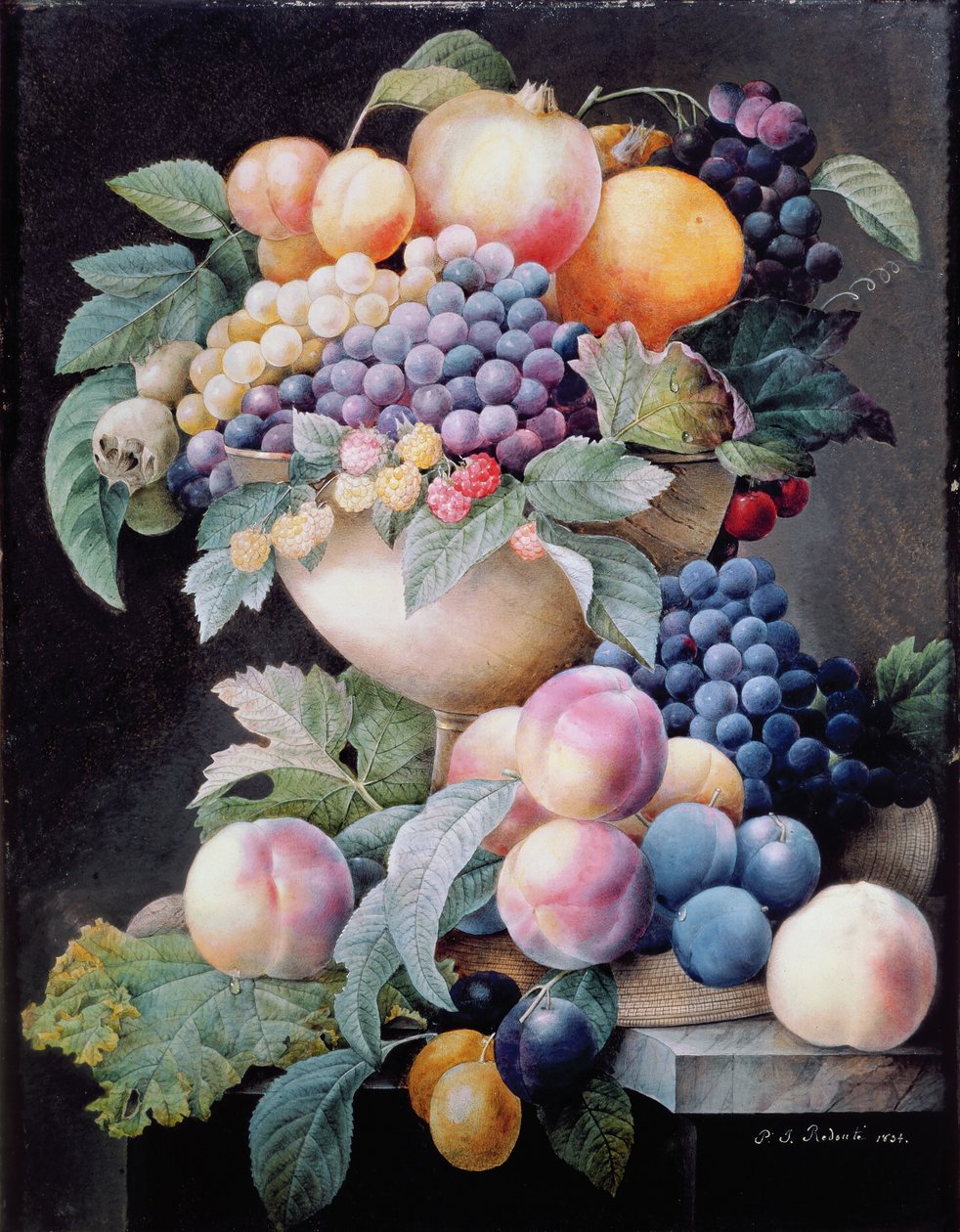Fruits - Pierre Joseph Redouté