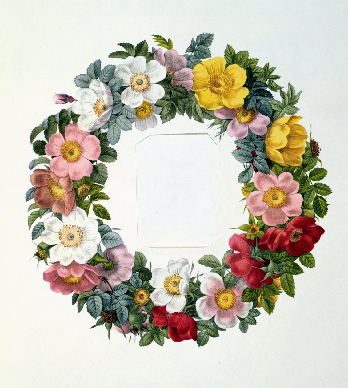 Couronne de roses, frontispice pour 