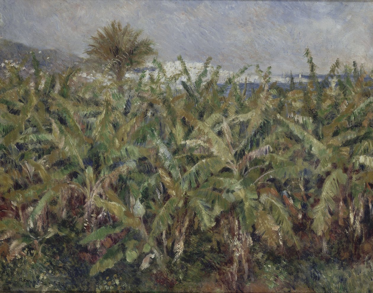 Champ de bananiers - Pierre-Auguste Renoir