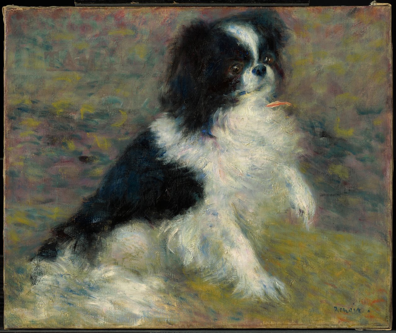Tama, le chien japonais - Pierre-Auguste Renoir