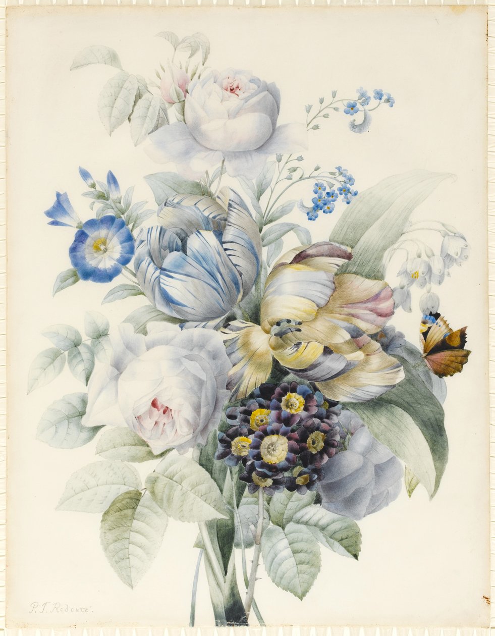Un bouquet de fleurs comprenant des roses, des tulipes perroquet, des myosotis, des perce-neige, des auricules et des ipomées avec un papillon imaginaire - Pierre Joseph Redouté