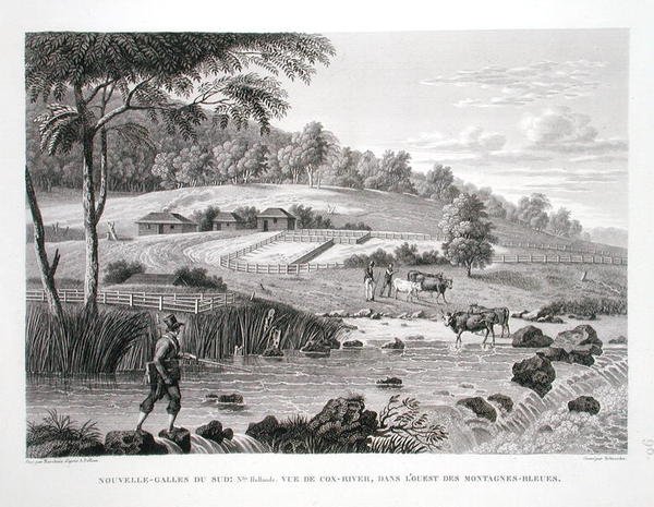 Vue de la rivière Cox à l