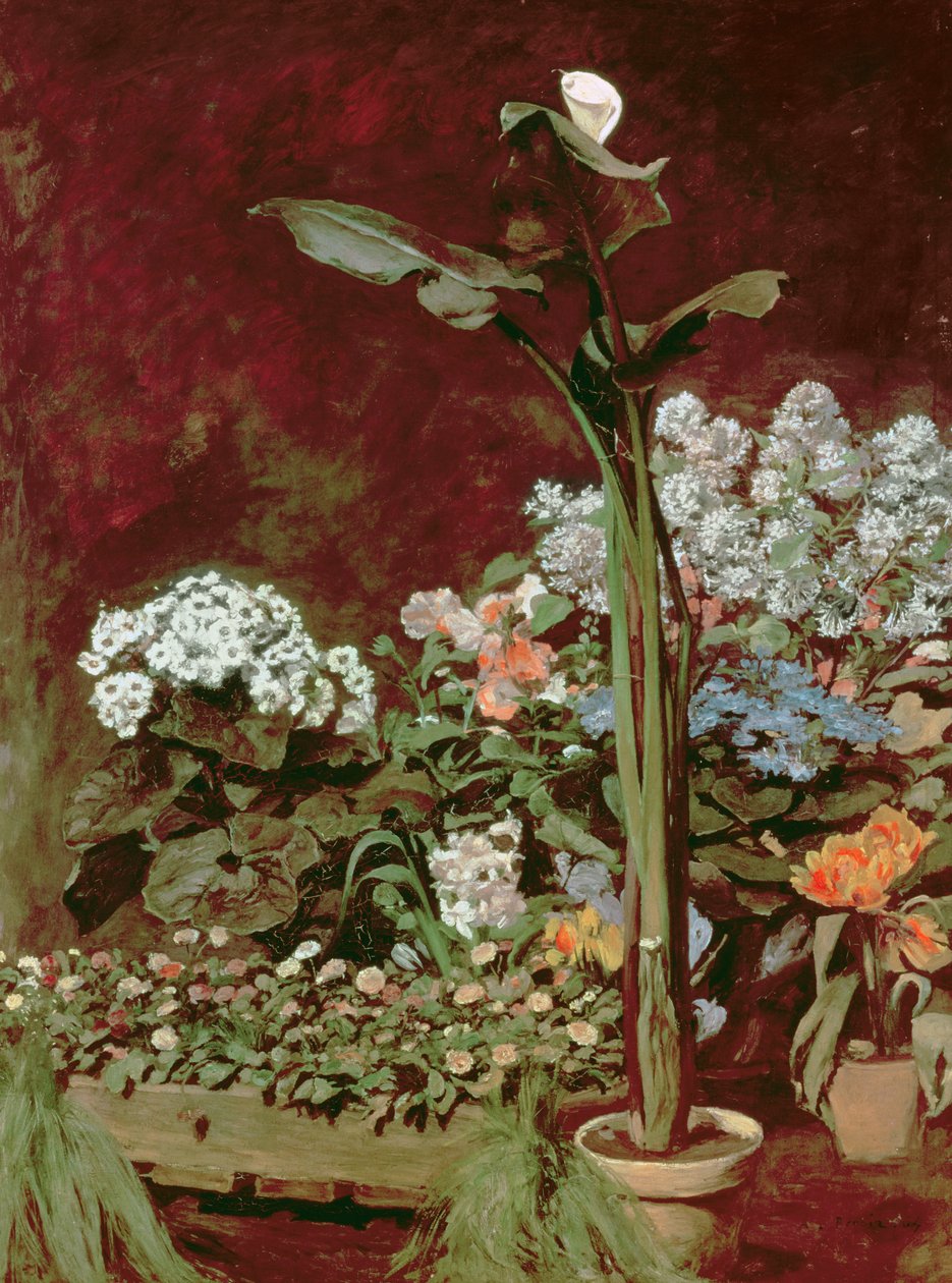 Lys et plantes de serre - Pierre Auguste Renoir
