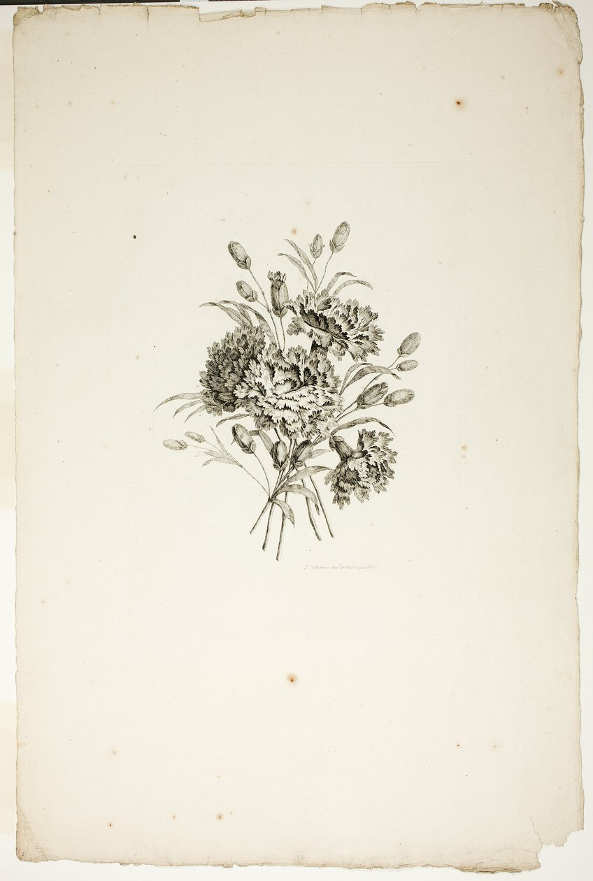 Bouquet avec des œillets, de la Collection de différents bouquets de fleurs, inventé et dessiné par Jean Pillement et gravé par P. C. Canot - Pierre Charles Canot