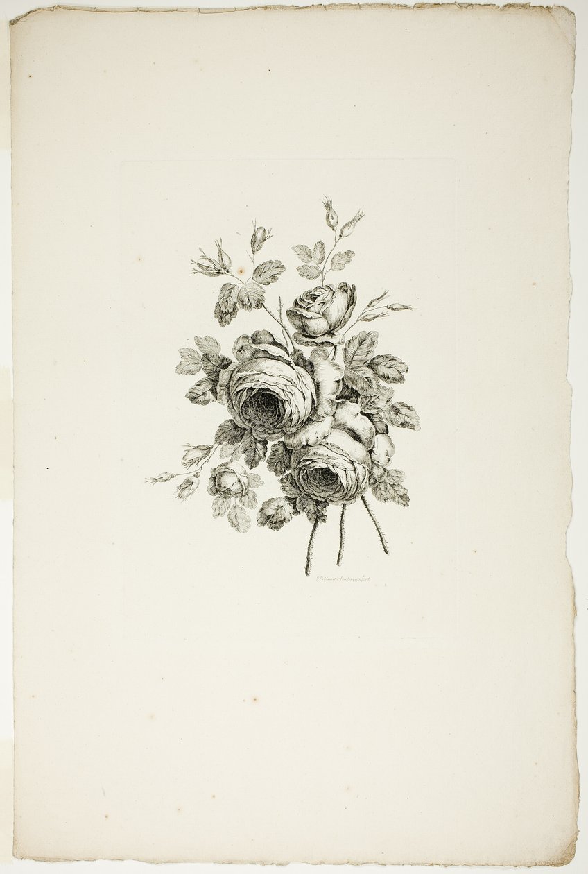 Bouquet avec des roses, de la Collection de différents bouquets de fleurs, inventé et dessiné par Jean Pillement et gravé par P. C. Canot - Pierre Charles Canot