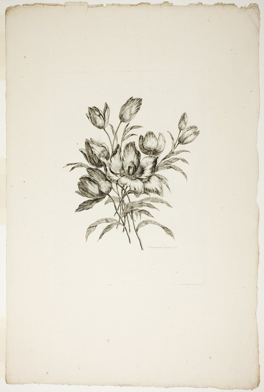 Bouquet avec tulipes, de Collection de différents bouquets de fleurs, inventé et dessiné par Jean Pillement et gravé par P. C. Canot - Pierre Charles Canot