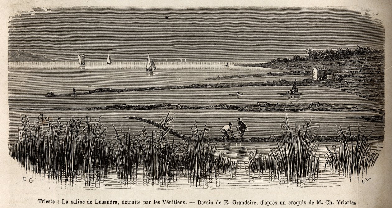 Les salines de Lusandra, dans les environs de Trieste, détruites par les Vénitiens qui les voyaient comme une dangereuse rivalité au monopole qu