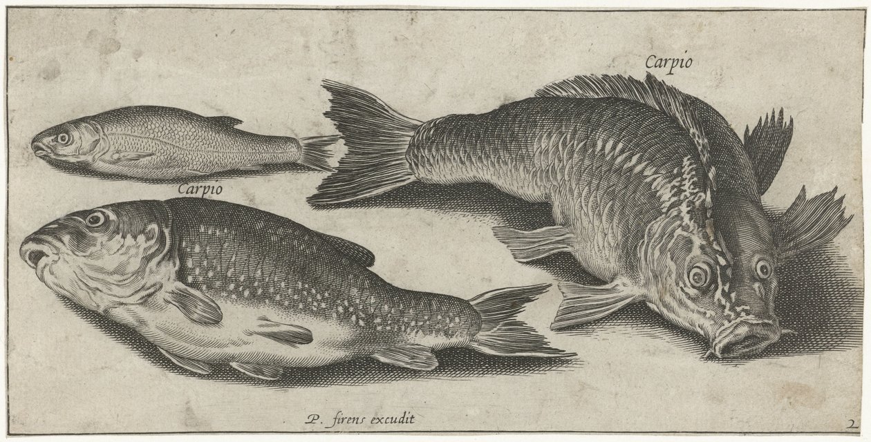 Trois carpes - Pierre Firens