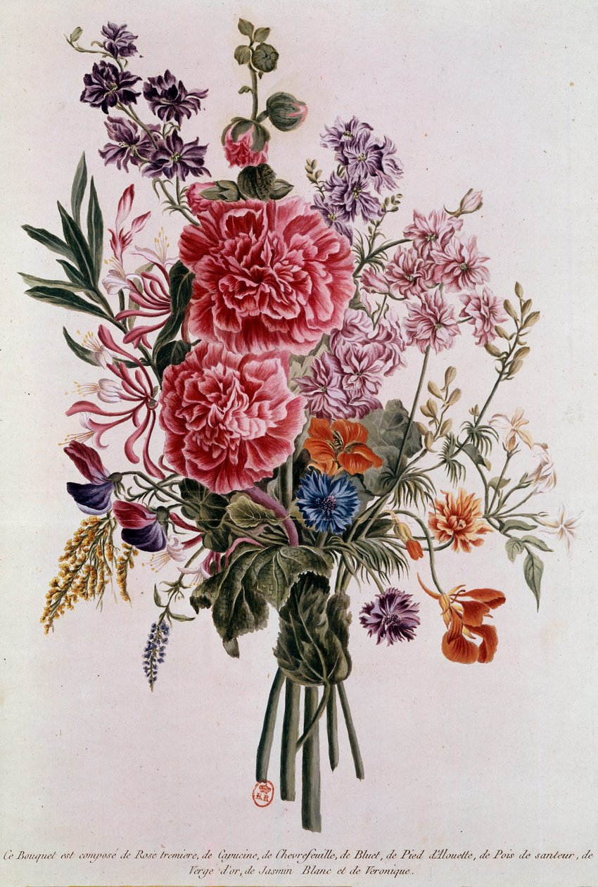 Bouquet composé de roses, lithographie par Pierre Joseph Buchoz (1731-1807) 18e siècle Paris, B.N. - Pierre-Joseph Buchoz