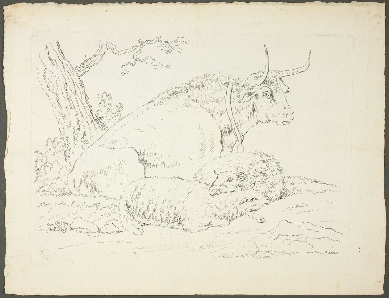 Un taureau et deux moutons - Pierre Lelu
