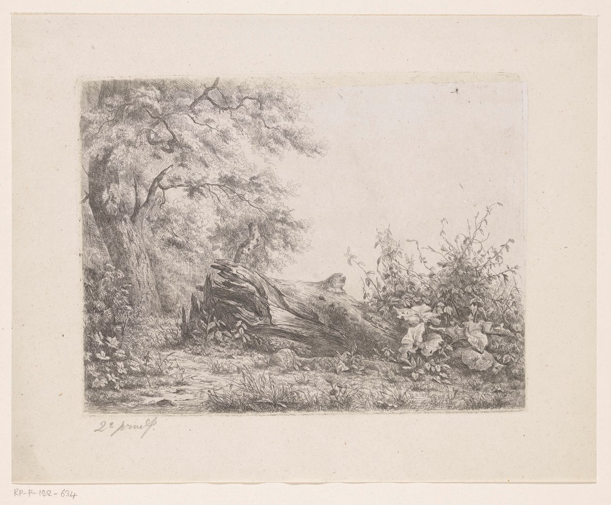 Arbre renversé au bord de la forêt - Pierre Louis Dubourcq