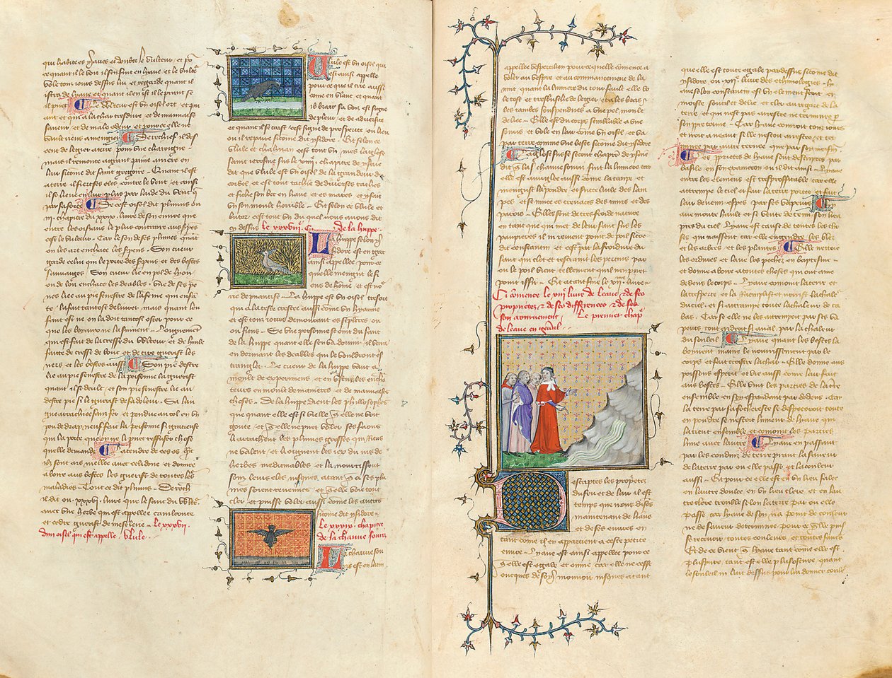 Page de "De Proprietatibus Rerum" par Bartholomeus Anglicus, dans la traduction française de Jean Corbechon, vers 1390 - Pierre Remiet