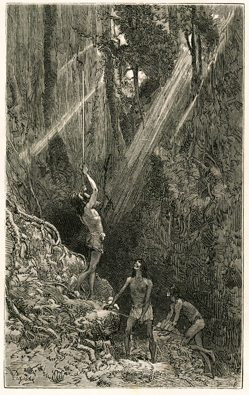 Indiens Suno, des rives du fleuve Napo (Amazonie), chassant à la sarbacane. Gravure de Vignal, pour illustrer l
