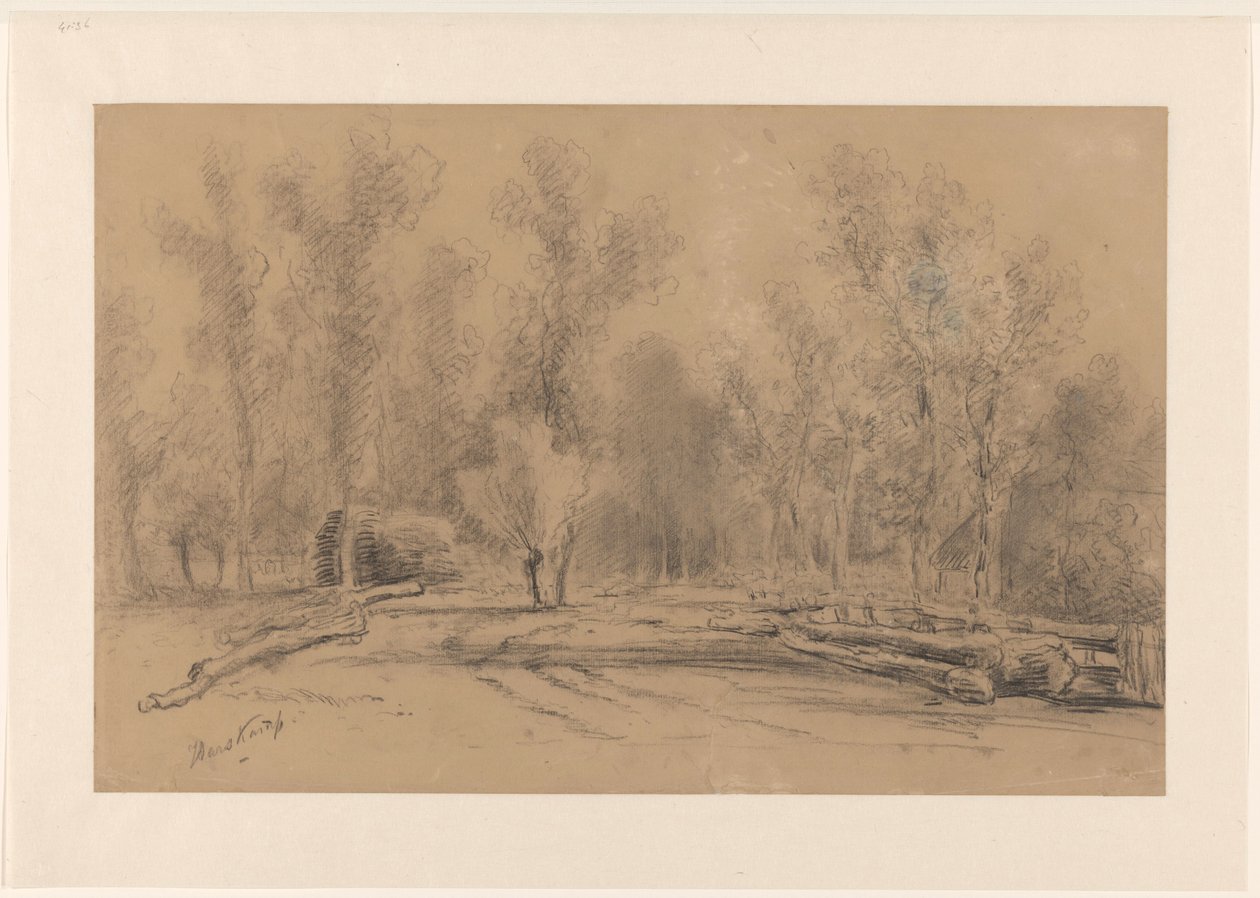 Ferme au bord de la forêt avec de grands arbres près de Harskamp - Piet Meiners