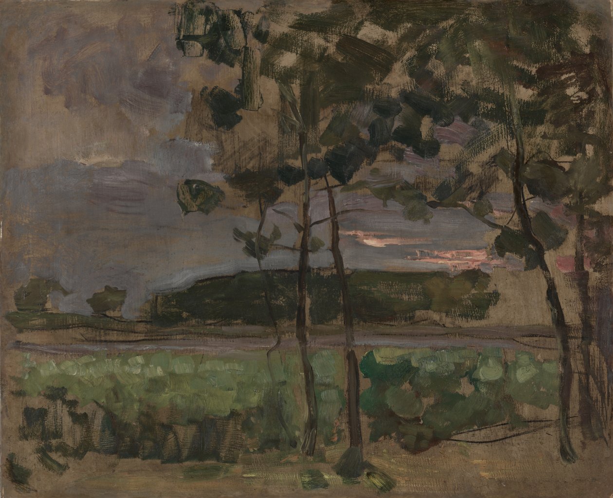 Champ avec de jeunes arbres au premier plan - Piet Mondrian