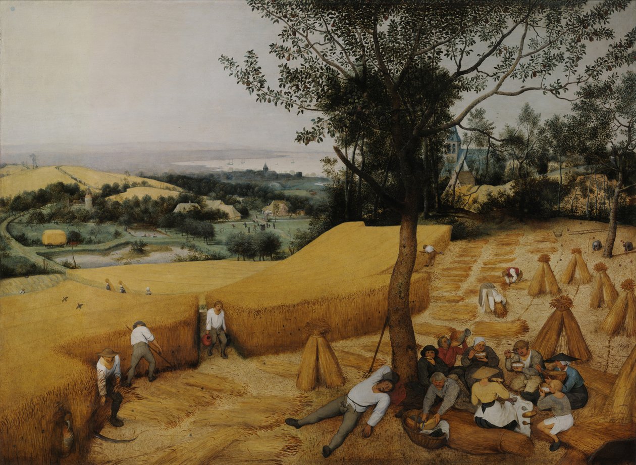 Les moissonneurs - Pieter Bruegel the Elder