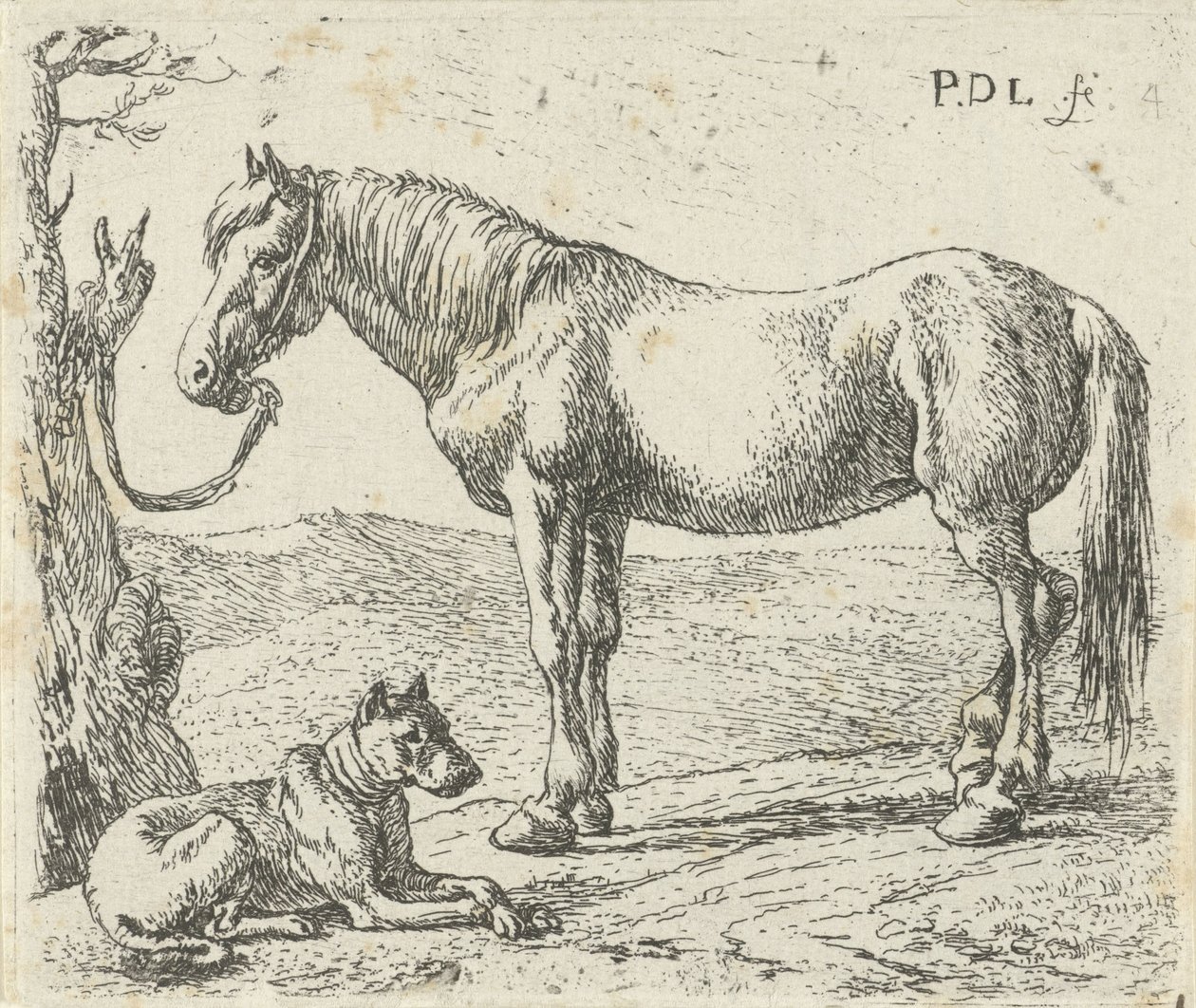 Cheval et chien dans un pré - Pieter Bodding van Laer