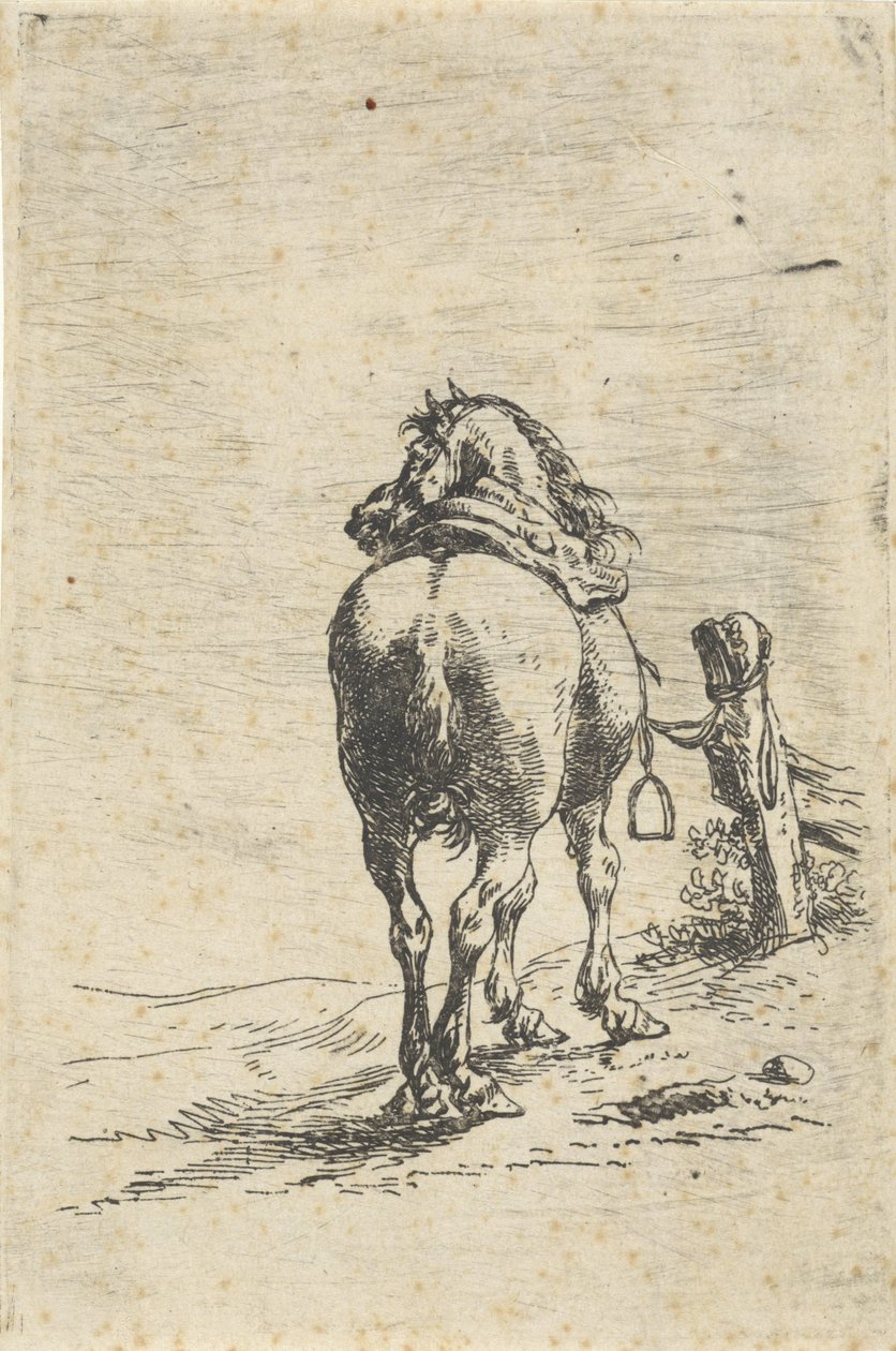 Cheval sellé attaché à un poteau - Pieter Cornelisz. Verbeeck