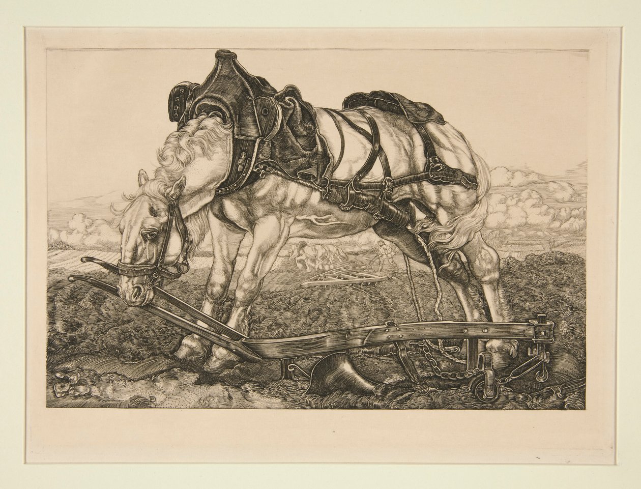 Cheval de travail - Pieter Dupont