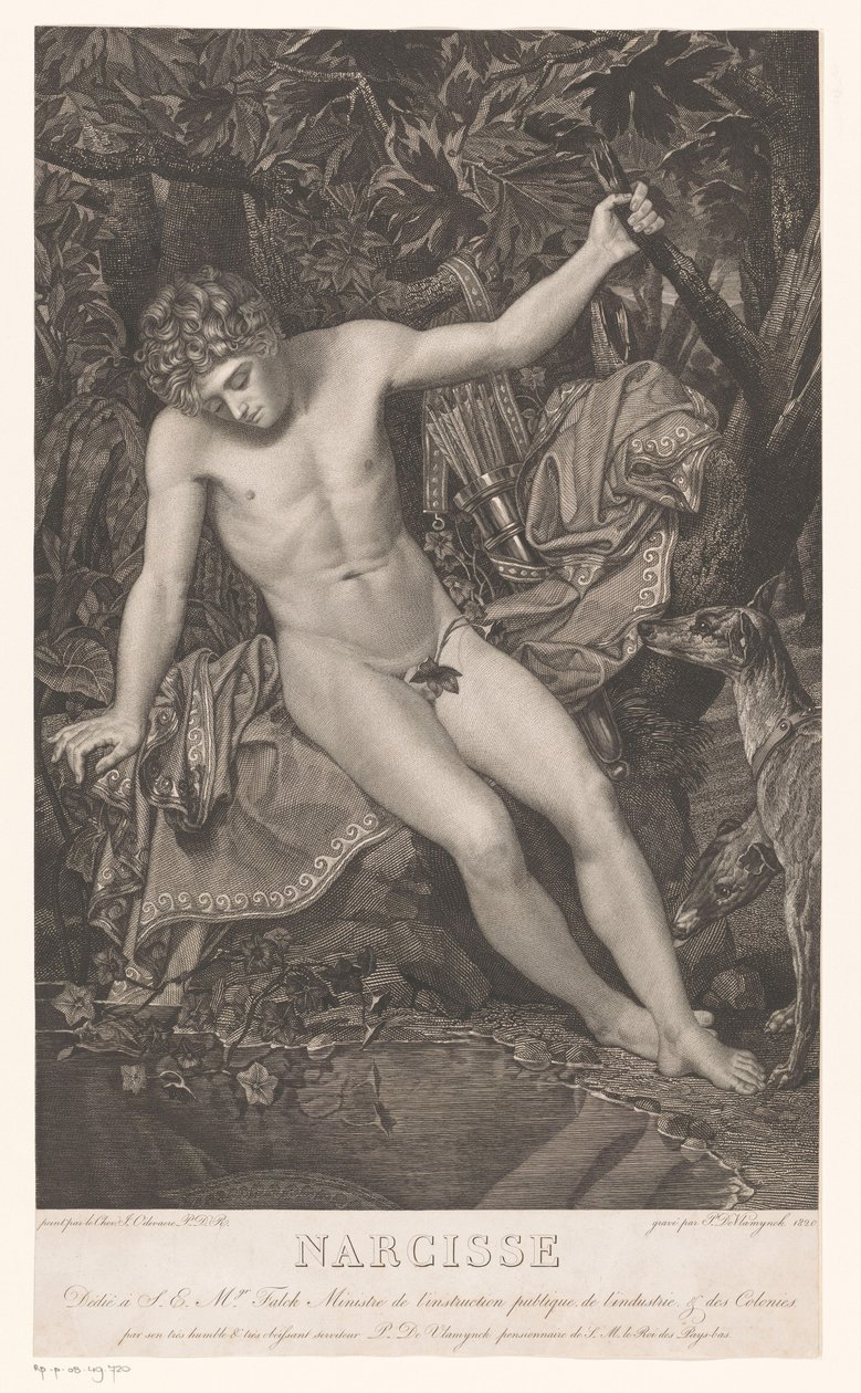 Narcisse au bord de l