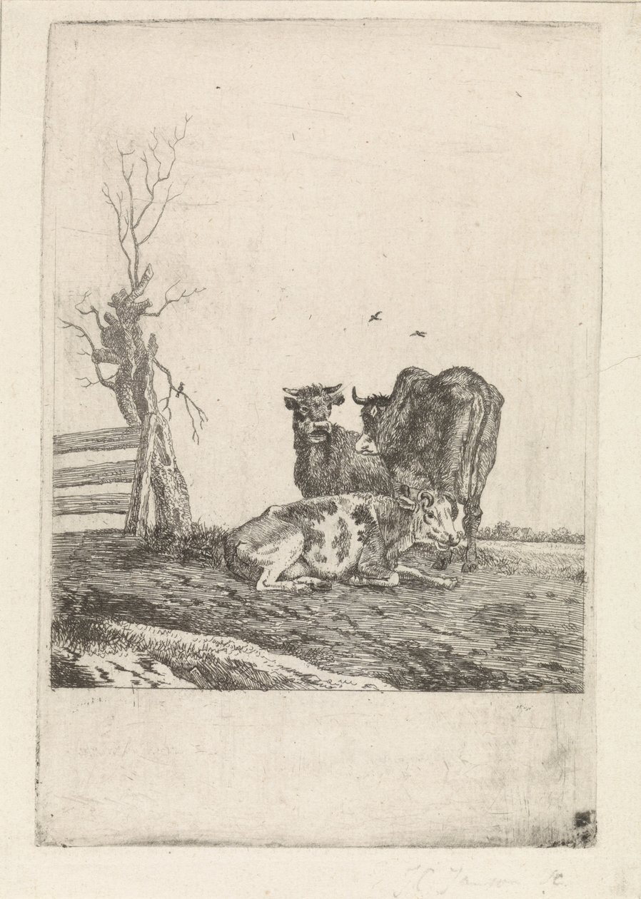 Paysage avec trois vaches - Pieter Janson
