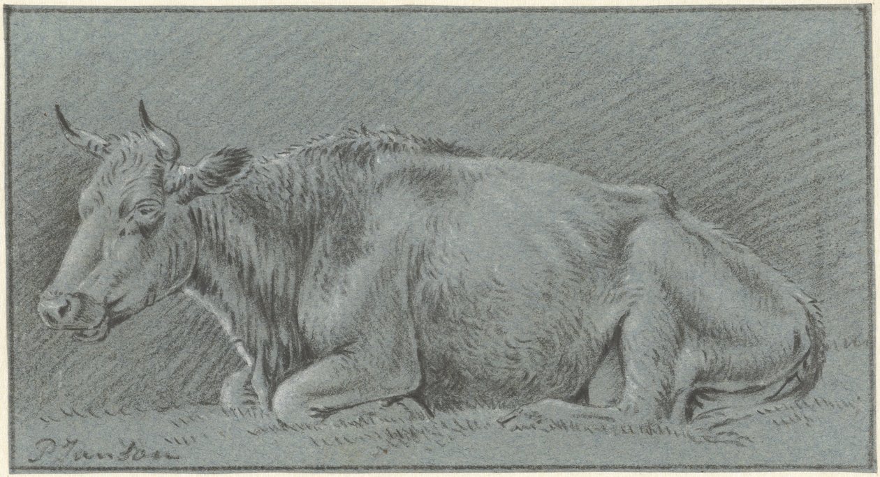 Vache allongée - Pieter Janson