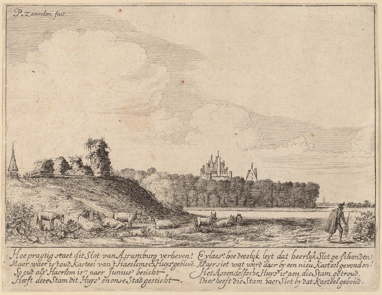 Ruines du château d