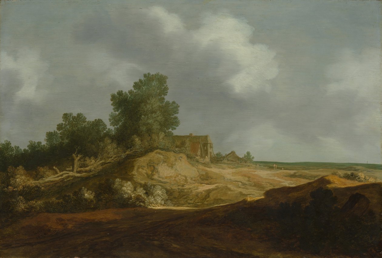 Paysage avec un cottage - Pieter Molijn