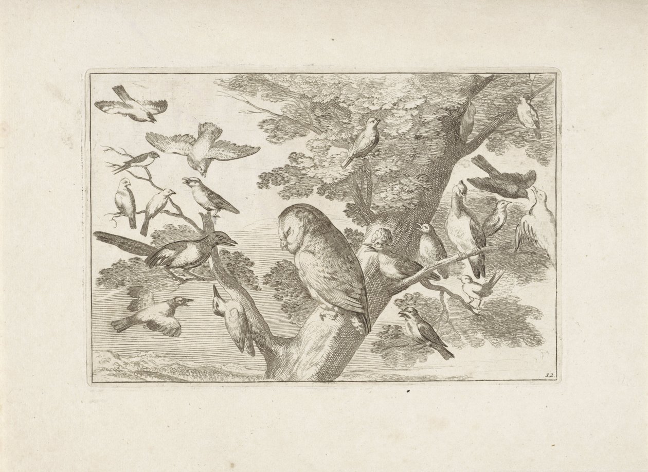 Hibou et autres oiseaux dans un arbre - Pieter Schenk (I) (attributed to)