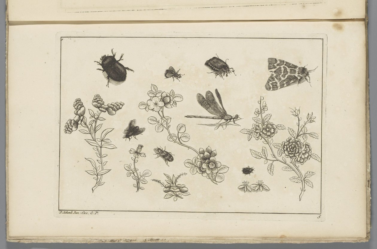 Brindilles de fleurs avec insectes - Pieter Schenk (II)