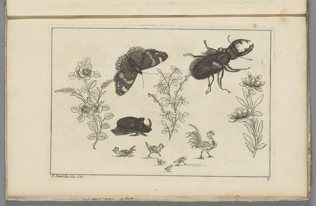 Trois branches de fleurs avec un scarabée rhinocéros, un papillon et un coléoptère - Pieter Schenk (II)