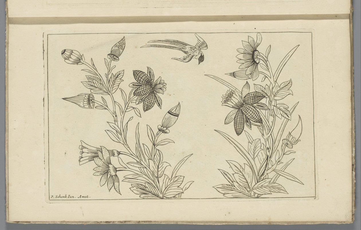 Deux buissons de fleurs et une hirondelle (Fleurs et oiseaux chinois) - Pieter Schenk (II)